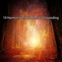 !!!! 19 Harmonious Woodland Surrounding !!!!