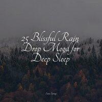 25 Blissful Rain Drop Mood for Deep Sleep