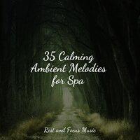 35 Calming Ambient Melodies for Spa