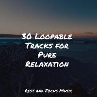 30 Loopable Tracks for Pure Relaxation