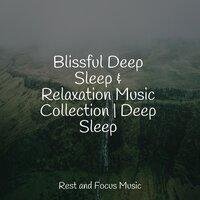 Blissful Deep Sleep & Relaxation Music Collection | Deep Sleep