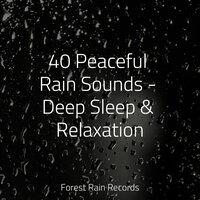 40 Peaceful Rain Sounds - Deep Sleep & Relaxation