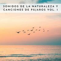 Sonidos De La Naturaleza Y Canciones De Pájaros Vol. 1
