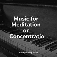 Music for Meditation or Concentration