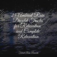 25 Ambient Rain Droplet Tracks for Relaxation and Complete Relaxation