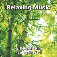 #01 Relaxing Music for Sleep, Relaxing, Reading, the Soul
