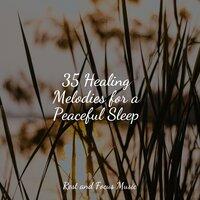 35 Healing Melodies for a Peaceful Sleep