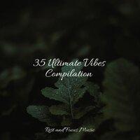 35 Ultimate Vibes Compilation