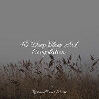 40 Deep Sleep Aid Compilation