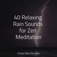 40 Relaxing Rain Sounds for Zen Meditation