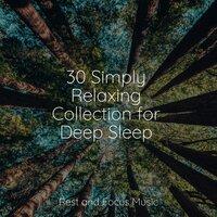 30 Simply Relaxing Collection for Deep Sleep