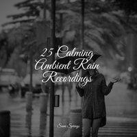 25 Calming Ambient Rain Recordings