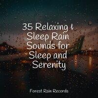 35 Relaxing & Sleep Rain Sounds for Sleep and Serenity