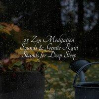 25 Zen Meditation Sounds & Gentle Rain Sounds for Deep Sleep