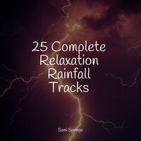 25 Complete Relaxation Rainfall Tracks