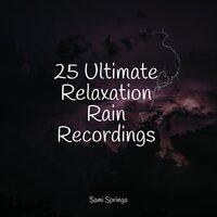 25 Ultimate Relaxation Rain Recordings