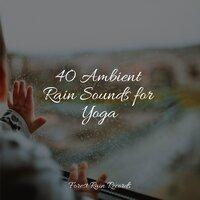 40 Ambient Rain Sounds for Yoga