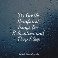 30 Gentle Rainforest Songs for Relaxation and Deep Sleep