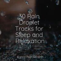 30 Rain Droplet Tracks for Sleep and Relaxation