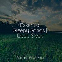 Essential Sleepy Songs | Deep Sleep