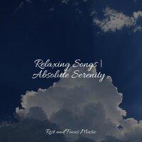 Relaxing Songs | Absolute Serenity