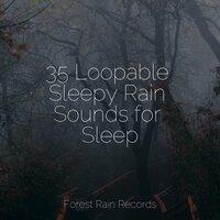 35 Loopable Sleepy Rain Sounds for Sleep