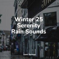 Winter 25 Serenity Rain Sounds