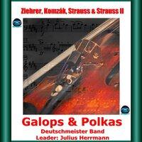 Ziehrer, Komzák, Strauss & Strauss II: Galops & Polkas