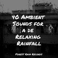 40 Ambient Sounds for a de Relaxing Rainfall