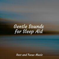 Gentle Sounds for Sleep Aid