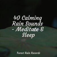 40 Calming Rain Sounds - Meditate & Sleep