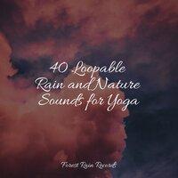 40 Loopable Rain and Nature Sounds for Yoga