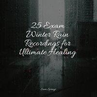 25 Exam Winter Rain Recordings for Ultimate Healing