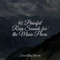 40 Peaceful Rain Sounds for the Music Pieces