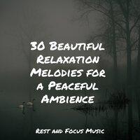 30 Beautiful Relaxation Melodies for a Peaceful Ambience