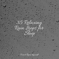 35 Relaxing Rain Loops for Sleep
