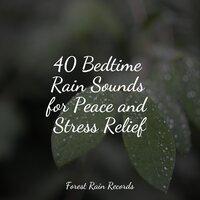 40 Bedtime Rain Sounds for Peace and Stress Relief