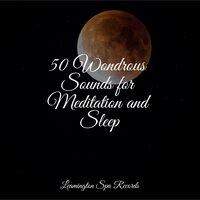 50 Wondrous Sounds for Meditation and Sleep