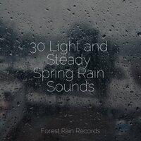 30 Light and Steady Spring Rain Sounds