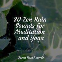 30 Zen Rain Sounds for Meditation and Yoga