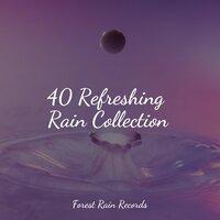 40 Refreshing Rain Collection