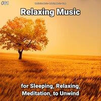 #01 Relaxing Music for Sleeping, Relaxing, Meditation, to Unwind