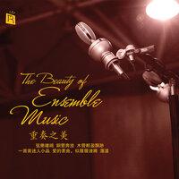 The Beauty of Ensemble Music