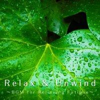 Relax & Unwind -BGM for Relieving Fatigue