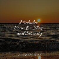 Melodies Sounds | Sleep and Serenity