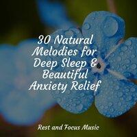 30 Natural Melodies for Deep Sleep & Beautiful Anxiety Relief