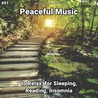 #01 Peaceful Music to Relax, for Sleeping, Reading, Insomnia