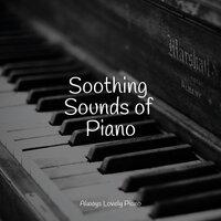 Soothing Sounds of Piano