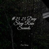 #25 25 Deep Sleep Rain Sounds