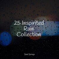 25 Inspirited Rain Collection